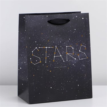 Пакет подарочный вертикальный «Stars», MS 23 x 18 × 10 см - фото 51942