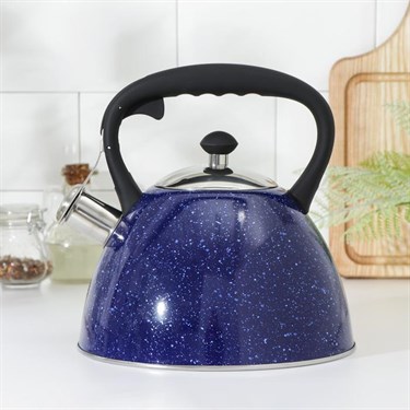 Чайник со свистком Доляна «Космос», 3 л, цвет синий - фото 53407