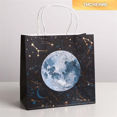 Пакет крафтовый «Вселенная», 22 × 22 × 11 см