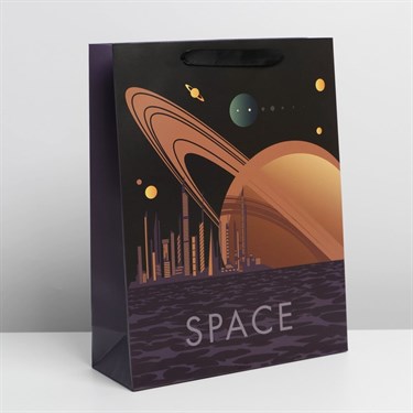 Пакет ламинированный вертикальный «Pluto», L 31 × 40 × 11,5 см