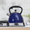 Чайник со свистком Доляна «Космос», 3 л, цвет синий 5406058